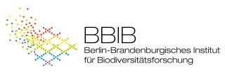 BBIB Logo