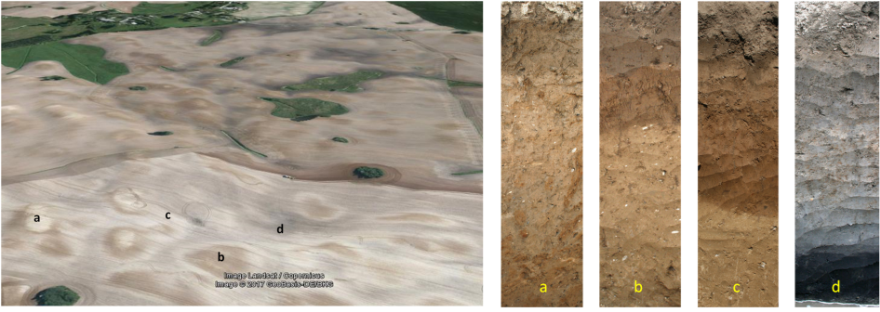 Erosion-affected soil pattern in the Quillow catchment