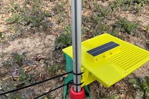 2nd generation digital yellow traps for rapeseed pests in 2022